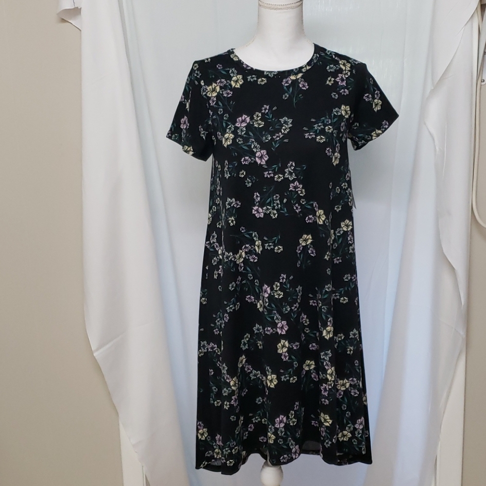 LuLaRoe Carly Dress